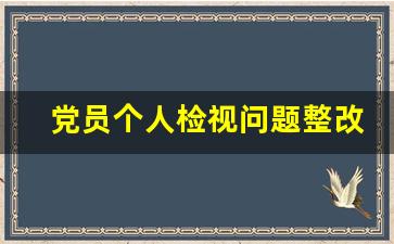 党员个人检视问题整改台账_个人检视问题及整改台账