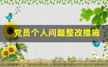 党员个人问题整改措施内容_党员整改目标和措施