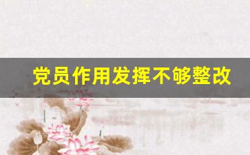 党员作用发挥不够整改措施_党员作用发挥不明显的原因