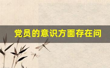 党员的意识方面存在问题_六个方面查摆问题及整改措施