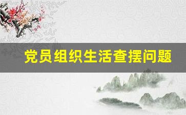 党员组织生活查摆问题_党小组查摆问题及整改措施