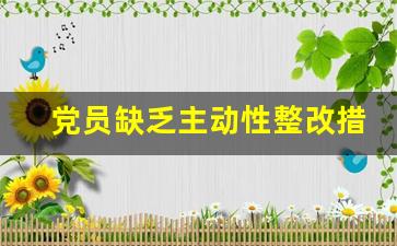 党员缺乏主动性整改措施_入党个人不足及需改进方面