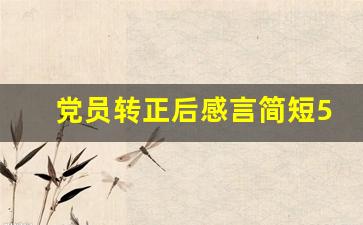 党员转正后感言简短50字_党员转正表态发言几句话