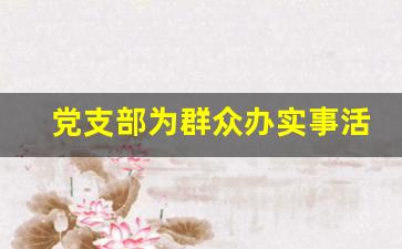 党支部为群众办实事活动方案_村党支部我为群众办实事活动方案