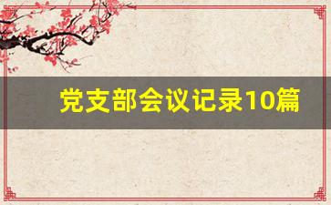 党支部会议记录10篇_党员会议记录范文10篇