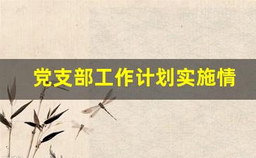 党支部工作计划实施情况自查