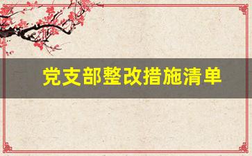 党支部整改措施清单