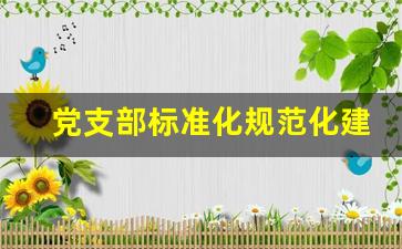 党支部标准化规范化建设五个基本_党支部标准化建设总结