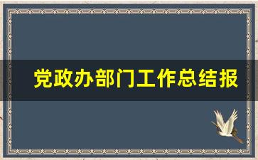 党政办部门工作总结报告