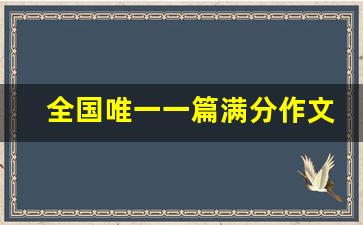 全国唯一一篇满分作文《酒》