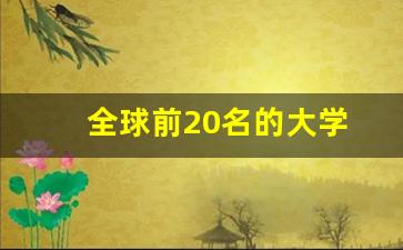 全球前20名的大学