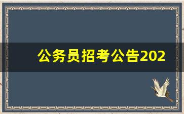 公务员招考公告2023_23年甘肃省省考岗位表