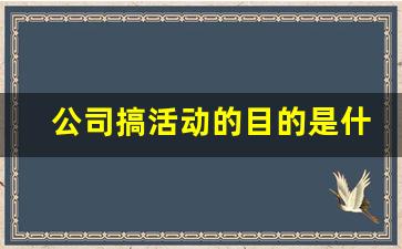 公司搞活动的目的是什么_策划的目的和意义