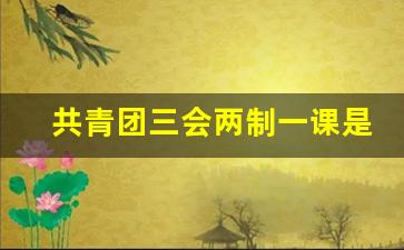 共青团三会两制一课是指什么内容_三会两制一课主题团课