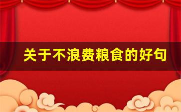 关于不浪费粮食的好句_节约粮食的优美文段