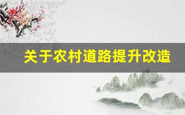 关于农村道路提升改造的建议