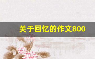 关于回忆的作文800字记叙文