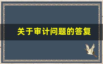 关于审计问题的答复