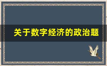 关于数字经济的政治题