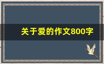 关于爱的作文800字_爱自己爱他人作文议论文