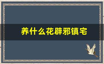 养什么花辟邪镇宅