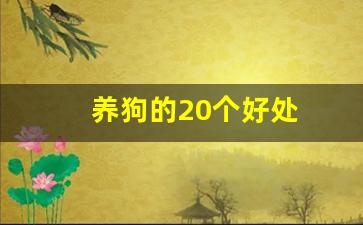 养狗的20个好处