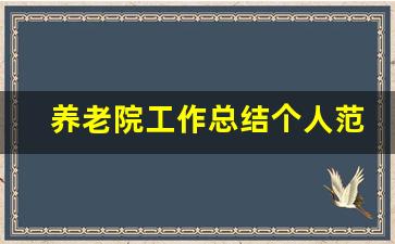 养老院工作总结个人范文大全