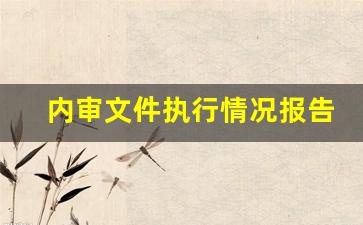 内审文件执行情况报告怎么写_财务审计建议怎么写