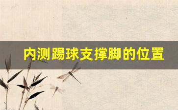 内测踢球支撑脚的位置叫什么_足球支撑脚站位图解