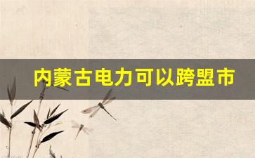 内蒙古电力可以跨盟市调动吗_内蒙古以前有几个盟