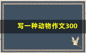 写一种动物作文300字小狗_我喜欢的小狗作文400字