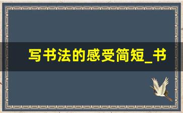 写书法的感受简短_书法与人生感悟