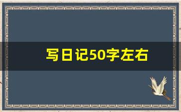 写日记50字左右