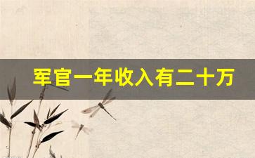 军官一年收入有二十万吗_部队军官找对象都很现实