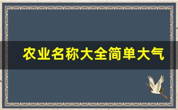 农业名称大全简单大气_农业公司怎样取名