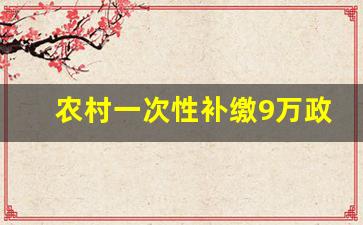 农村一次性补缴9万政策