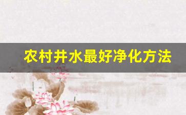 农村井水最好净化方法