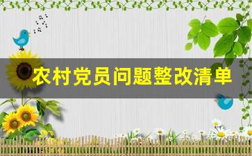 农村党员问题整改清单汇总表