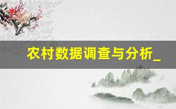 农村数据调查与分析_农村状况调查报告