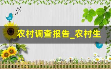 农村调查报告_农村生态环境调查报告