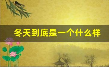 冬天到底是一个什么样的季节_这是一个什么样的冬天