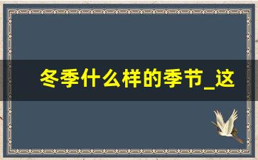 冬季什么样的季节_这是一个什么样的冬天