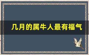 几月的属牛人最有福气