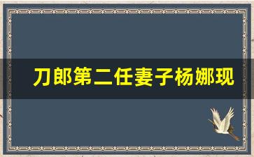 刀郎第二任妻子杨娜现状_鲁豫采访刀郎第一任妻子