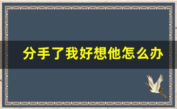 分手了我好想他怎么办_分手后很想找他怎么办