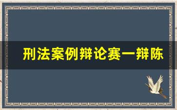 刑法案例辩论赛一辩陈词_参考判例利大于弊例子