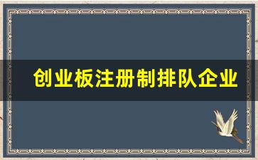 创业板注册制排队企业_创业板注册制最新排队名单