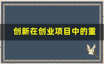 创新在创业项目中的重要性论文_国家对创新创业的政策有哪些