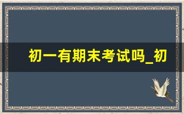 初一有期末考试吗_初中最累的是初几