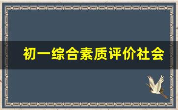 初一综合素质评价社会实践